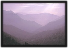 Smoky Mountain Wedding near the Great Smoky Mountain National Park