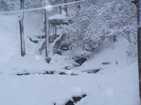 Weddings for all seasons!